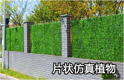 片狀仿真植物