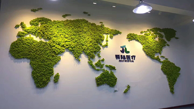 永生苔蘚植物墻裝飾的公司形象墻-優(yōu)蘭德
