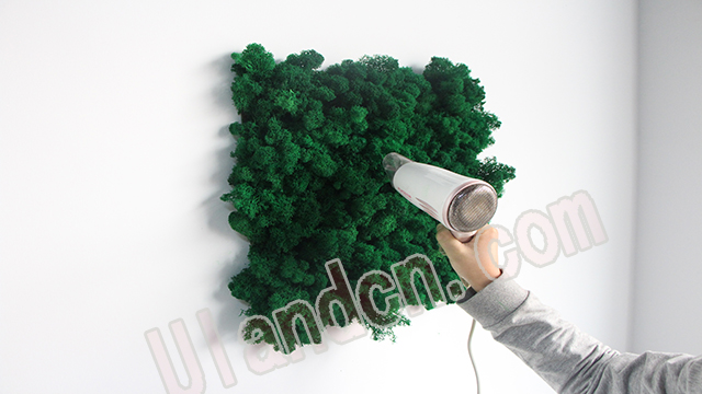 永生苔蘚植物墻養(yǎng)護(hù)打理