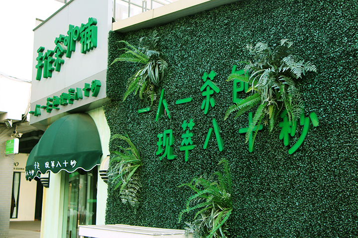 室外仿真植物墻