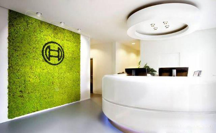 辦公前臺(tái)仿真植物背景墻