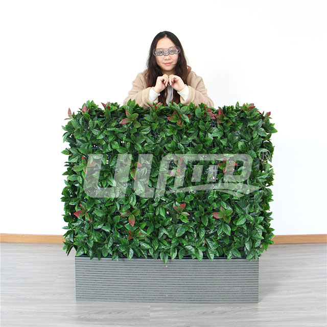 塑料植物屏風(fēng)