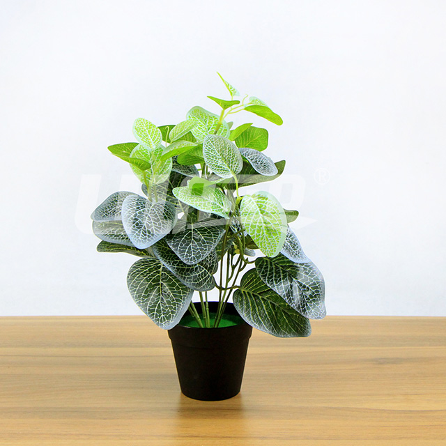仿真植物小盆栽白網(wǎng)紋草